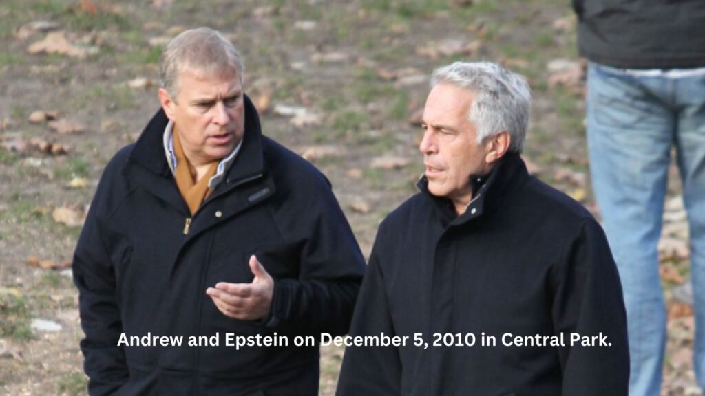 Andrew and epstein on december 5, 2010 in central park.